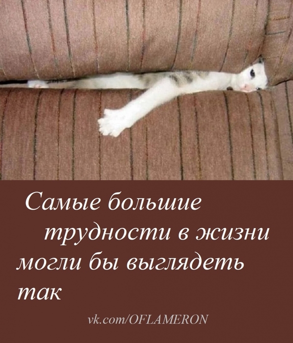 1620000_SINEVA500trudnosti (598x700, 236Kb)