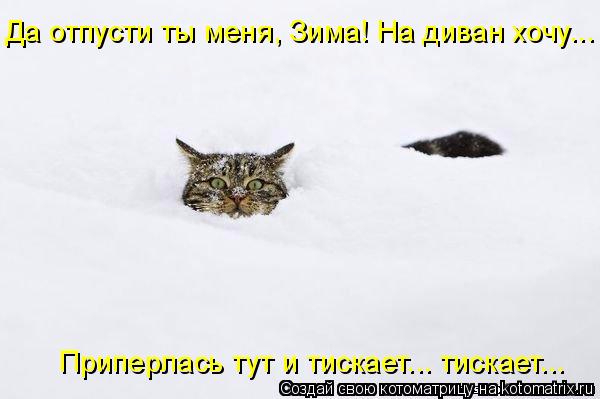 4743317_138874752_762660 (600x399, 107Kb)