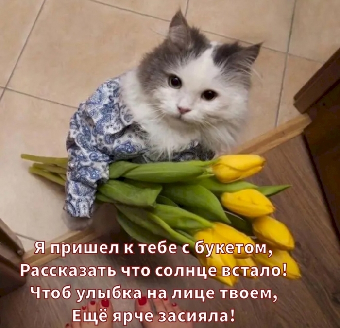 4743317_b4cb0938 (700x675, 270Kb)