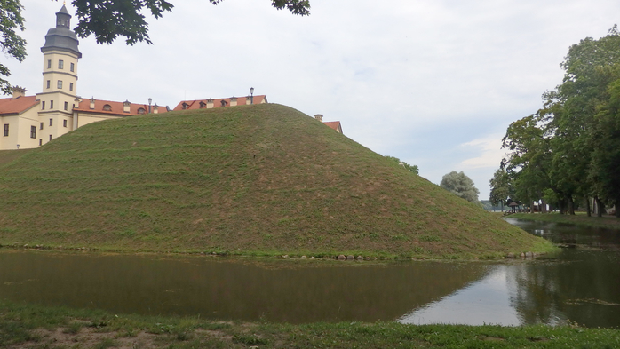 P6190318 (700x393, 287Kb)