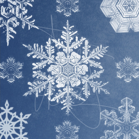 32658995_1222197216_Snowflakes1 (477x477, 248Kb)