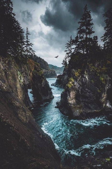 4Hw7FaOPW0uJds8FiopTxA (466x700, 321Kb)