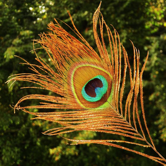 00 (700x700, 132Kb)