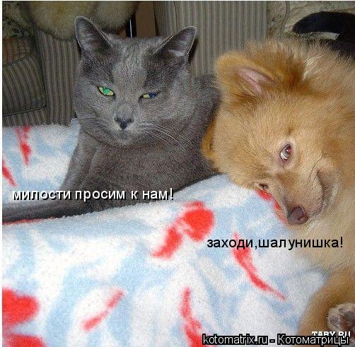 4743317_ks (502x491, 57Kb)