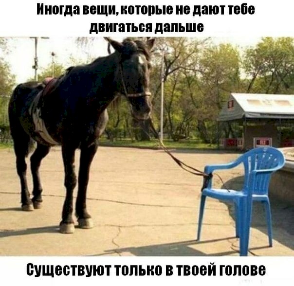 4743317_8d21b935 (604x588, 76Kb)