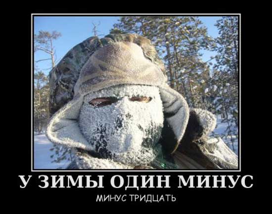 4743317_demyprozimu11 (550x433, 35Kb)
