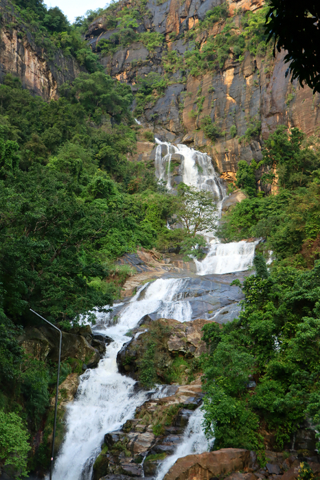 IMG_1343 (466x700, 558Kb)