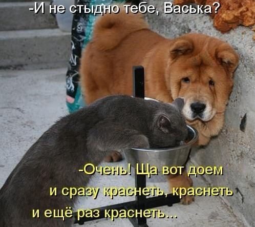 4743317_pic_7 (498x443, 172Kb)