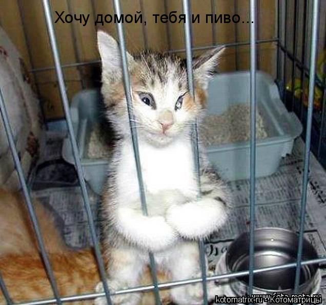 4743317_9h (636x596, 56Kb)