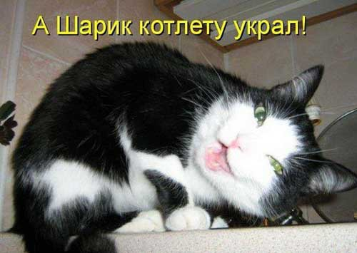 4743317_pic_4 (500x355, 96Kb)