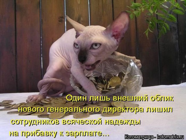 4743317_pic (650x487, 248Kb)