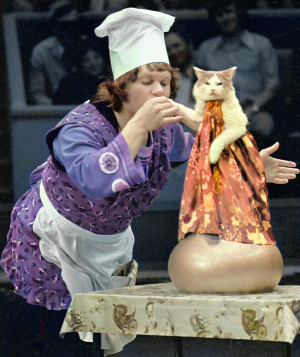 ссср Юрий Куклачев с кошкой по кличке Стрелка, 1987 год (588x700, 466Kb)