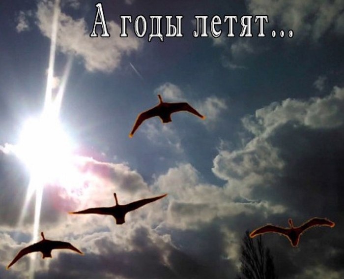    (700x567, 52Kb)