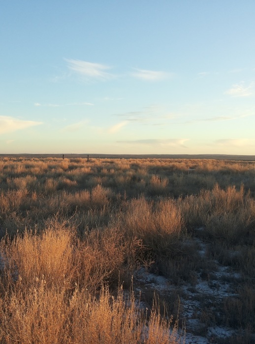 20241206_201335 (518x700, 110Kb)