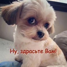 4743317_382026d7225864b5813d8a91ad386115 (236x236, 11Kb)