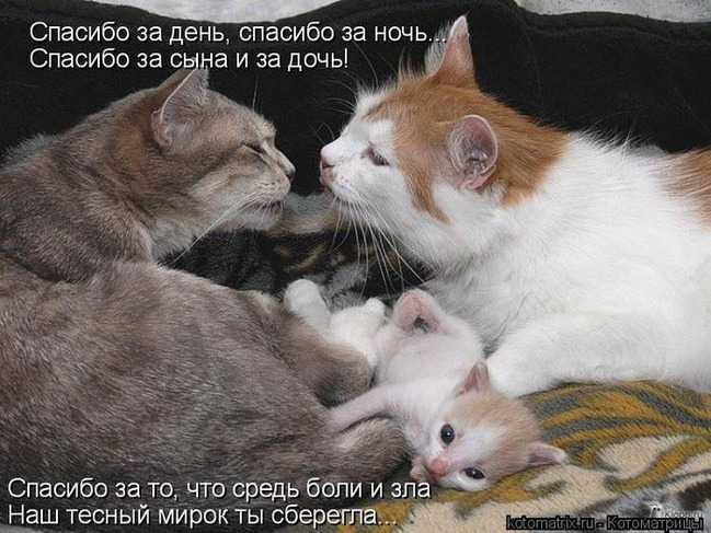 4743317_pic_8 (649x487, 231Kb)