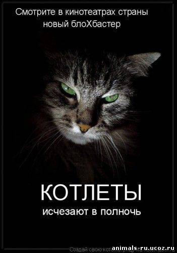 4743317_pic_5 (351x500, 64Kb)