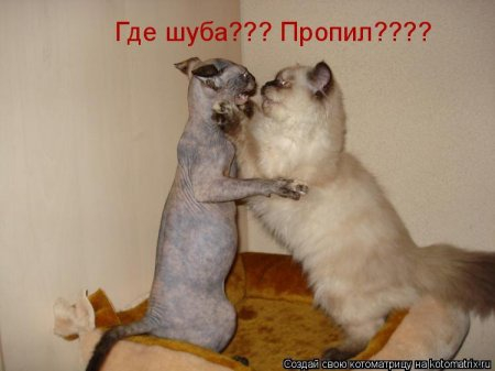 4743317_pic_6 (450x337, 78Kb)