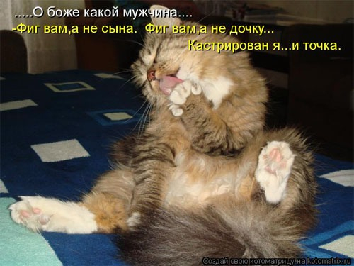 4743317_pic_4 (500x375, 141Kb)