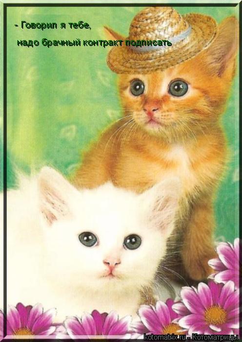 4743317_J3 (496x700, 52Kb)
