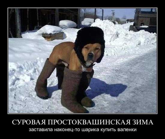 4743317_anekdotyprozimu10 (550x463, 35Kb)