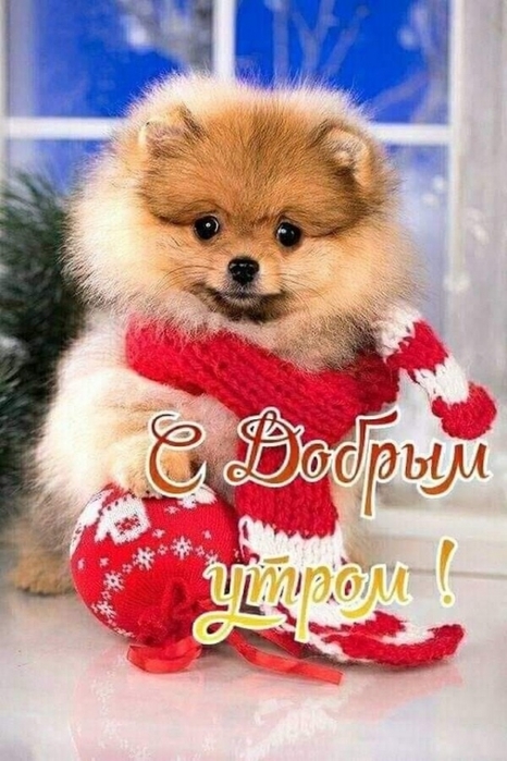 4743317_image20200127 (466x700, 240Kb)