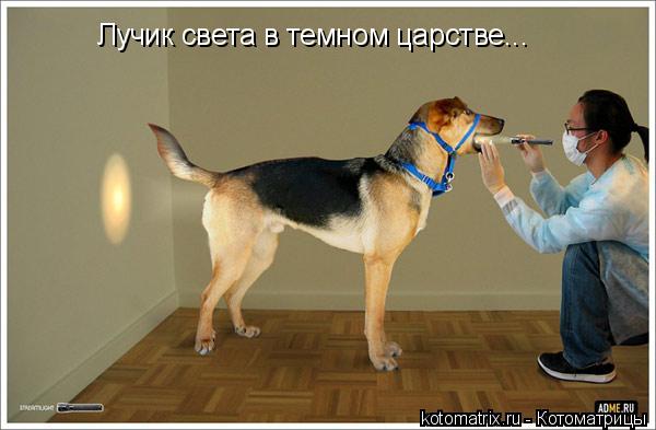 4743317_D7 (600x393, 32Kb)