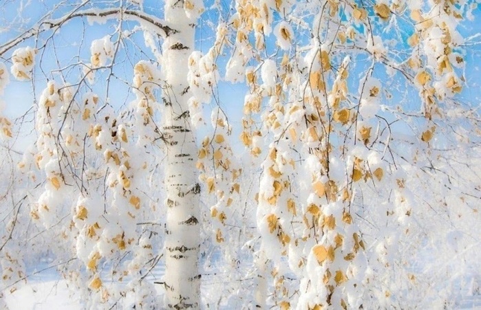 mIOXHALaTq0 (700x451, 152Kb)