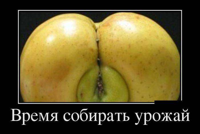 4743317_1441690373_28 (700x472, 26Kb)