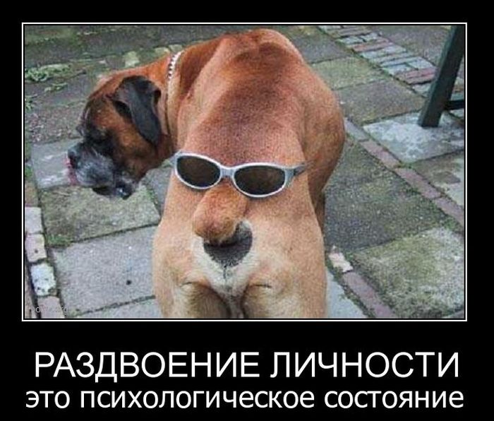 4743317_demotivatory_26 (700x596, 79Kb)
