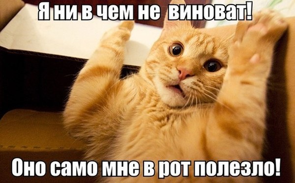 4743317_i22738 (600x373, 61Kb)