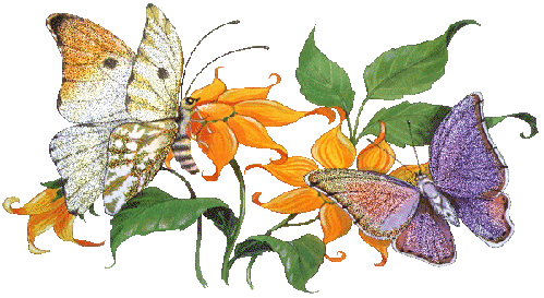 3c954483c60b (499x273, 107Kb)