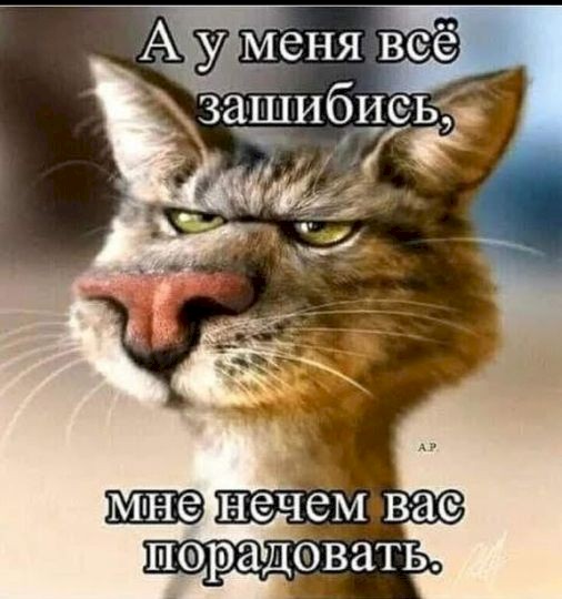 4743317_ae966b7d (506x540, 54Kb)