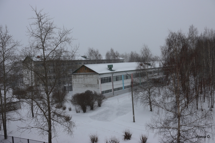 3316891_IMG_1326 (700x466, 238Kb)