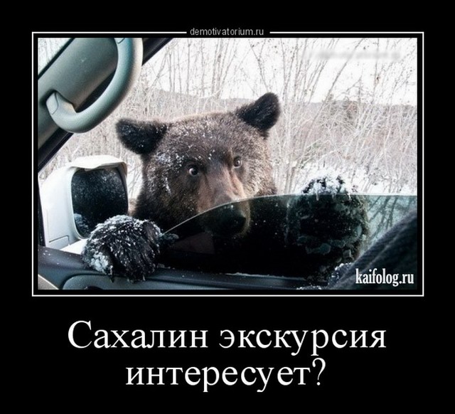 4743317_1453174695_008 (640x582, 83Kb)