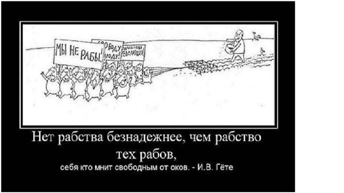   (700x393, 51Kb)