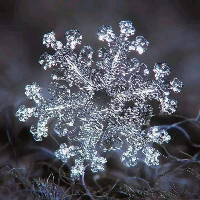 0e2113cdda3df4fc1368fc6b29db41e6 (700x700, 113Kb)
