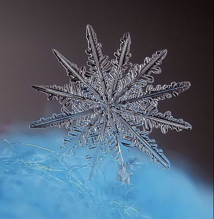 1e8c743dedff389f14798b1d2ce2a74b (685x700, 73Kb)