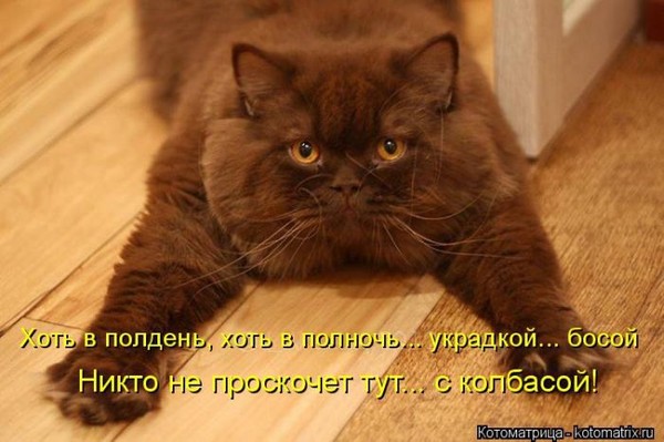 4743317_i22612 (600x399, 61Kb)