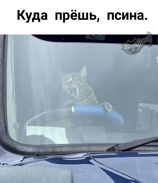 4743317_72f41c76 (519x600, 37Kb)