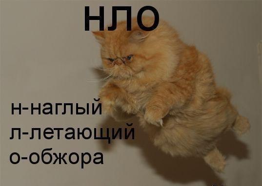 4743317_i22614 (537x382, 22Kb)
