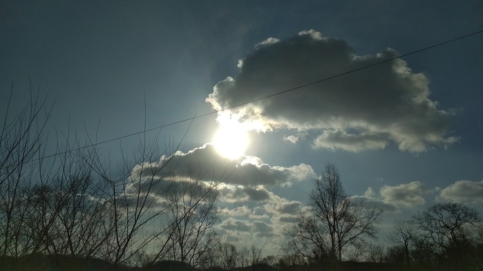 IMG_20241215_105839 (700x393, 107Kb)