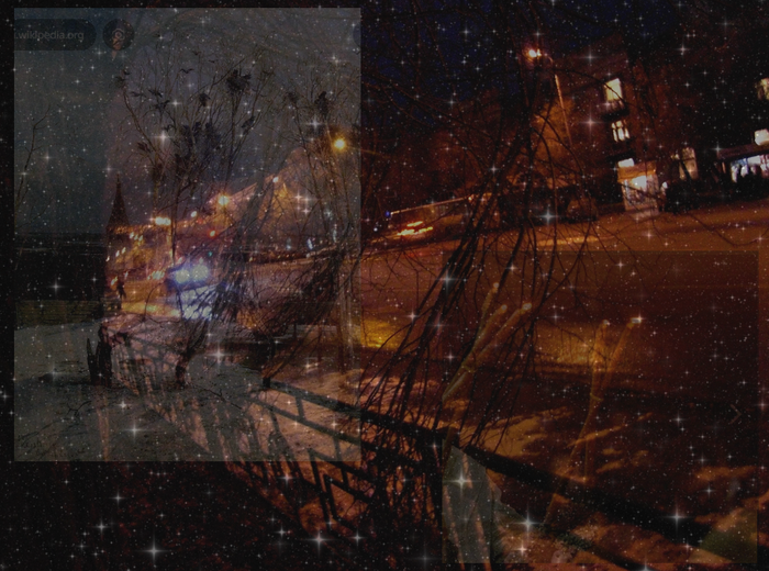 Screenshot 12-15-2024 04.55.376 (700x520, 596Kb)