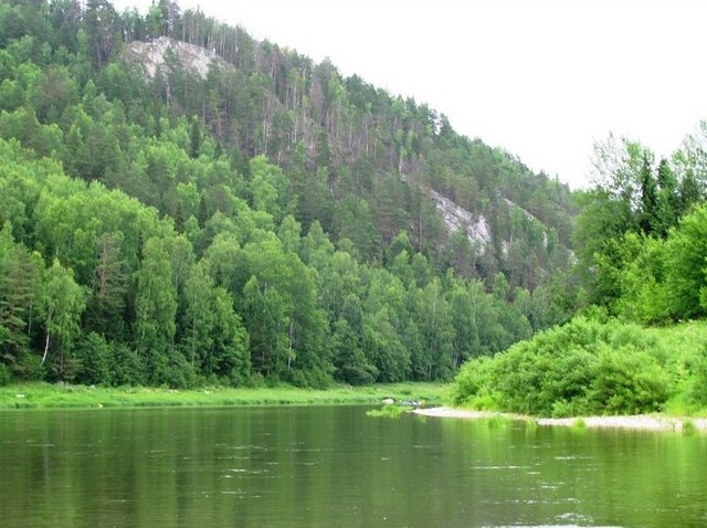 4743317_medium91651 (640x478, 92Kb)