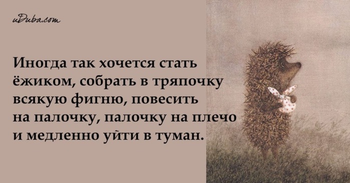 2622236_760x500 (700x367, 74Kb)