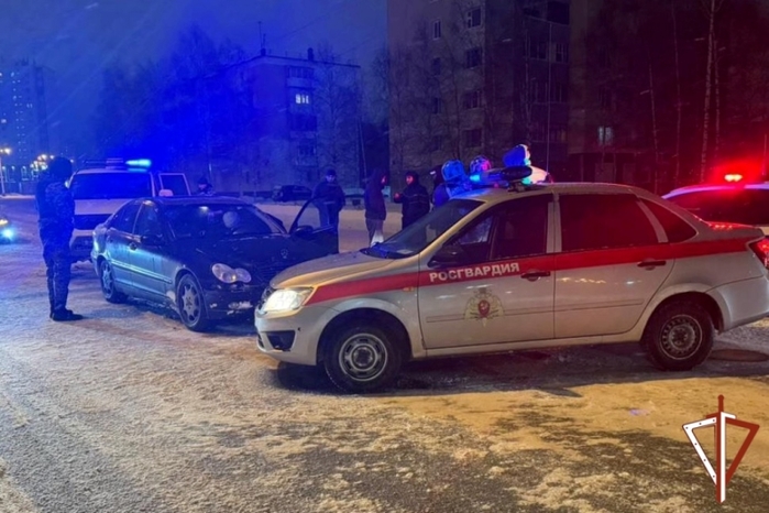 7290319_V_Ugre_Rosgvardiya_zaderjala_podozrevaemogo_v_sovershenii_ygona_avtomobilya (700x466, 231Kb)