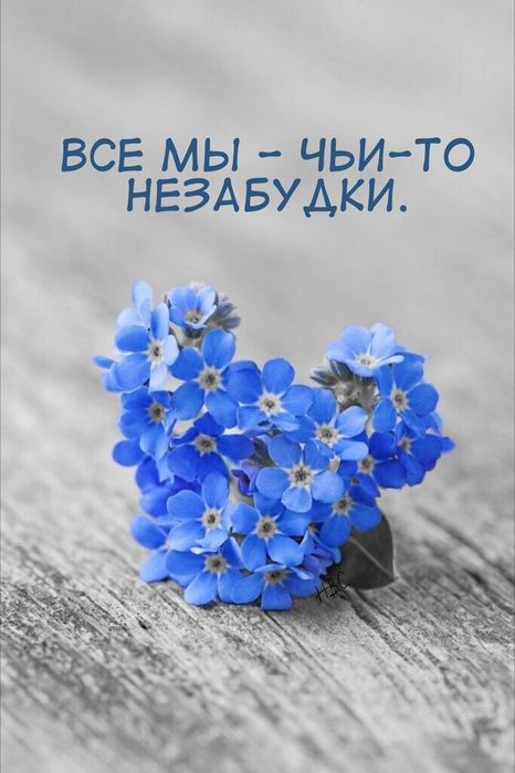 06a31d2d75fa22ee02040be006e66882 (466x700, 46Kb)