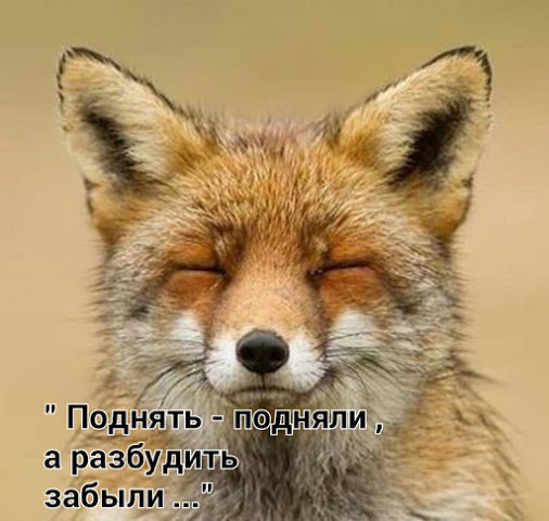 4743317_i22603 (506x481, 70Kb)