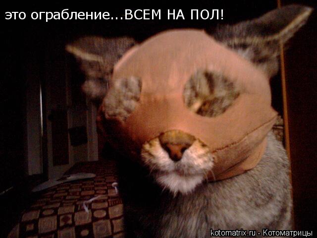 4743317_Xp (640x480, 38Kb)