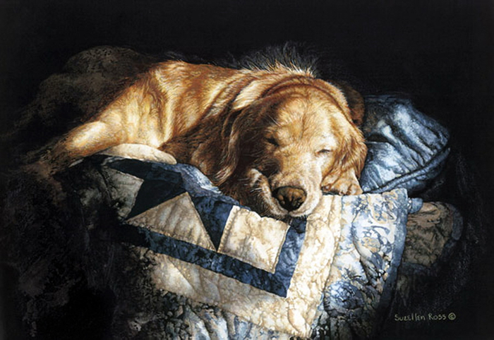 snooze-2 (700x482, 322Kb)
